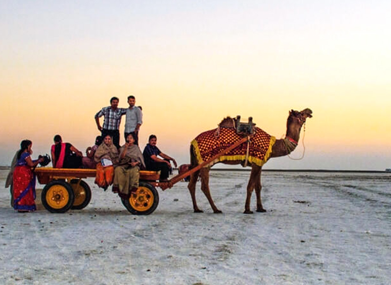 Camel Cart - Traditional transportation in scenic landscapes