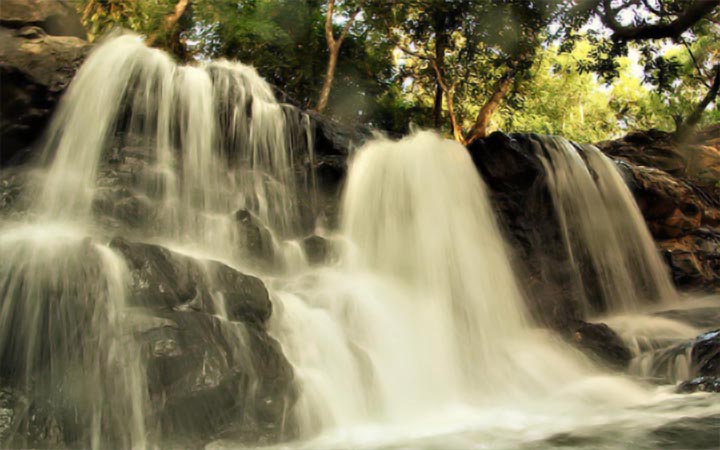 Chikmagalur, Karnataka - Explore the scenic beauty and coffee plantations