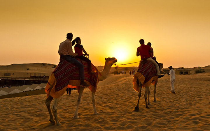 Jodhpur & Jaisalmer, Rajasthan - Magnificent forts & desert charm