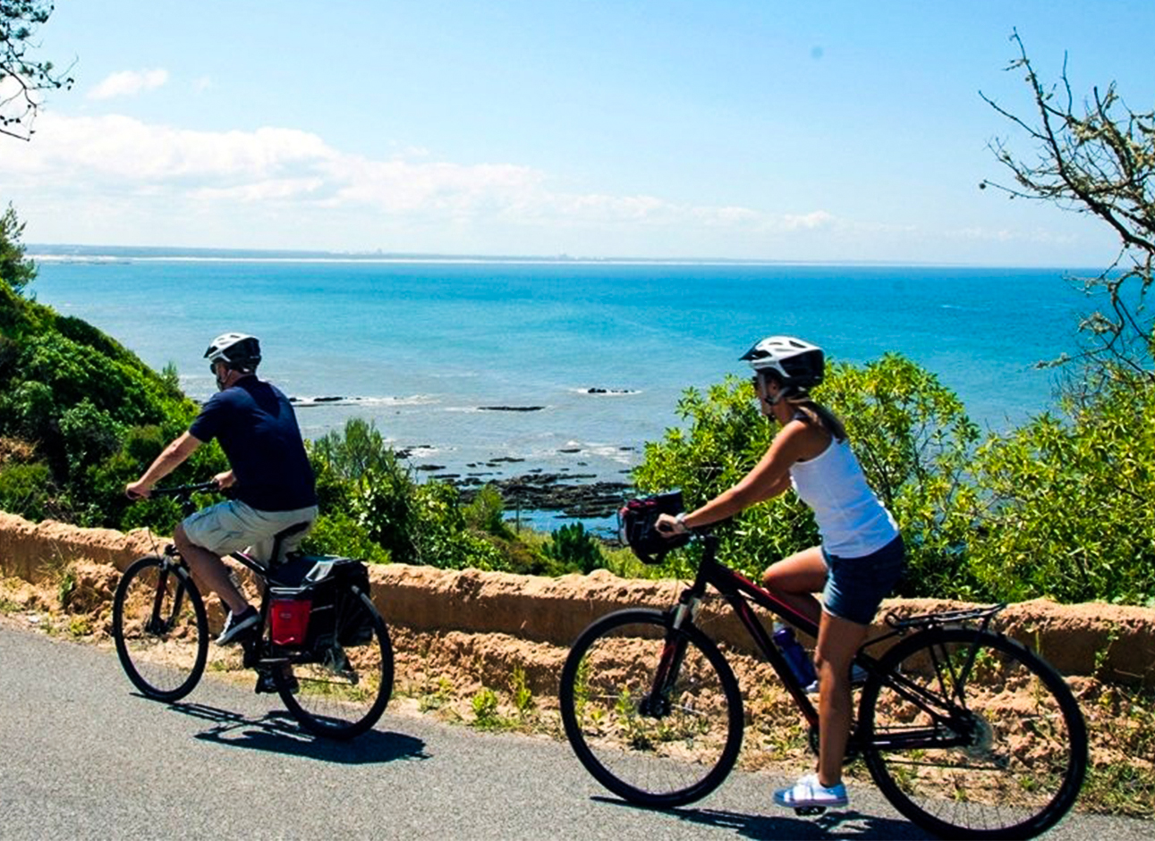 Bicycle Tours - Explore scenic routes and enjoy adventurous trips on guided bicycle tours