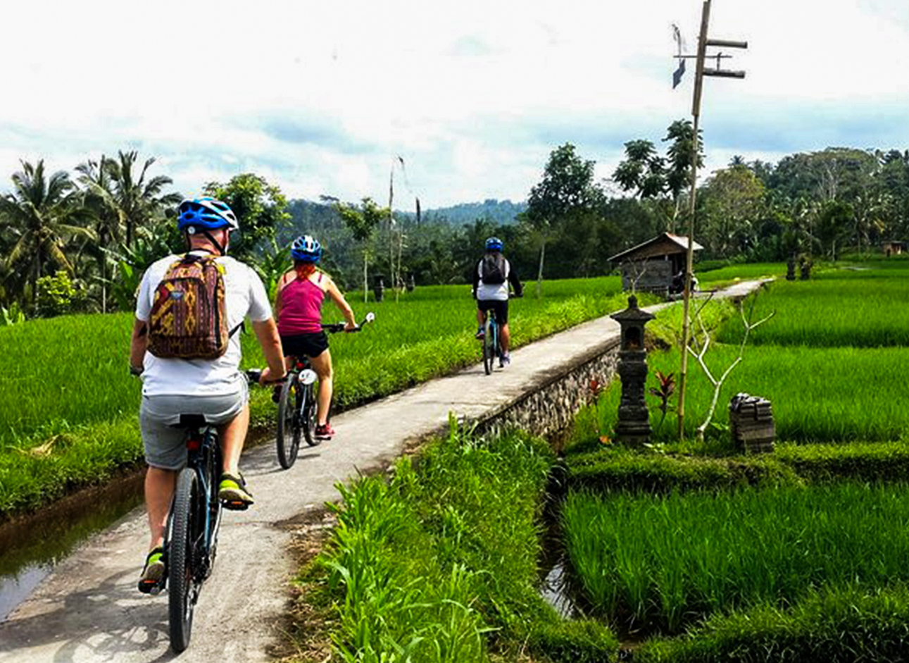 Bicycle Tours - Explore scenic routes and enjoy adventurous trips on guided bicycle tours