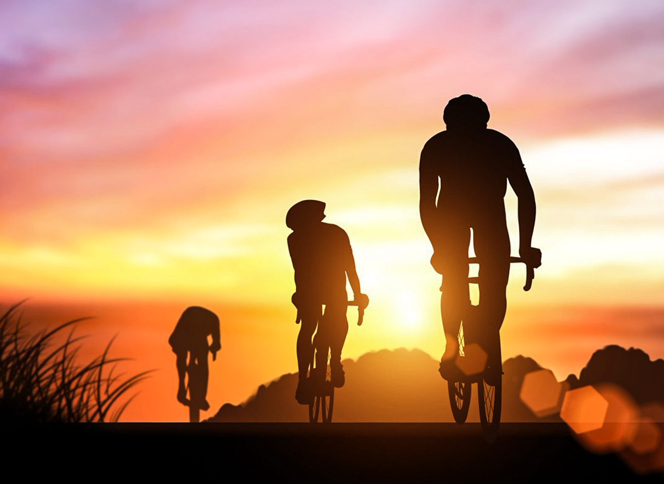 Bicycle Tours - Explore scenic routes and enjoy adventurous trips on guided bicycle tours