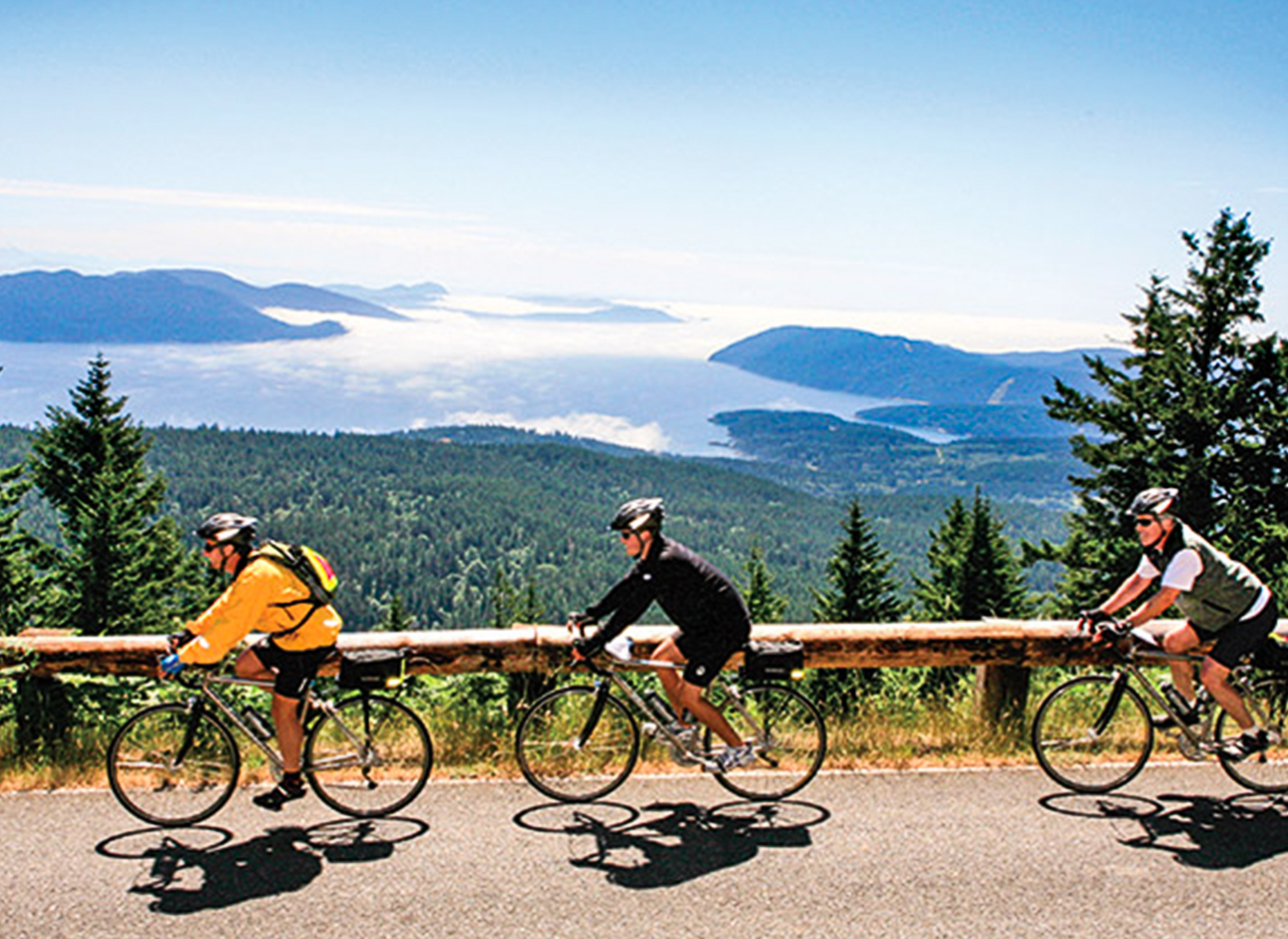 Bicycle Tours - Explore scenic routes and enjoy adventurous trips on guided bicycle tours