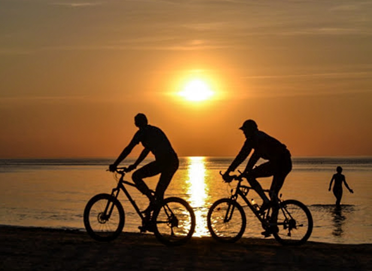 Bicycle Tours - Explore scenic routes and enjoy adventurous trips on guided bicycle tours