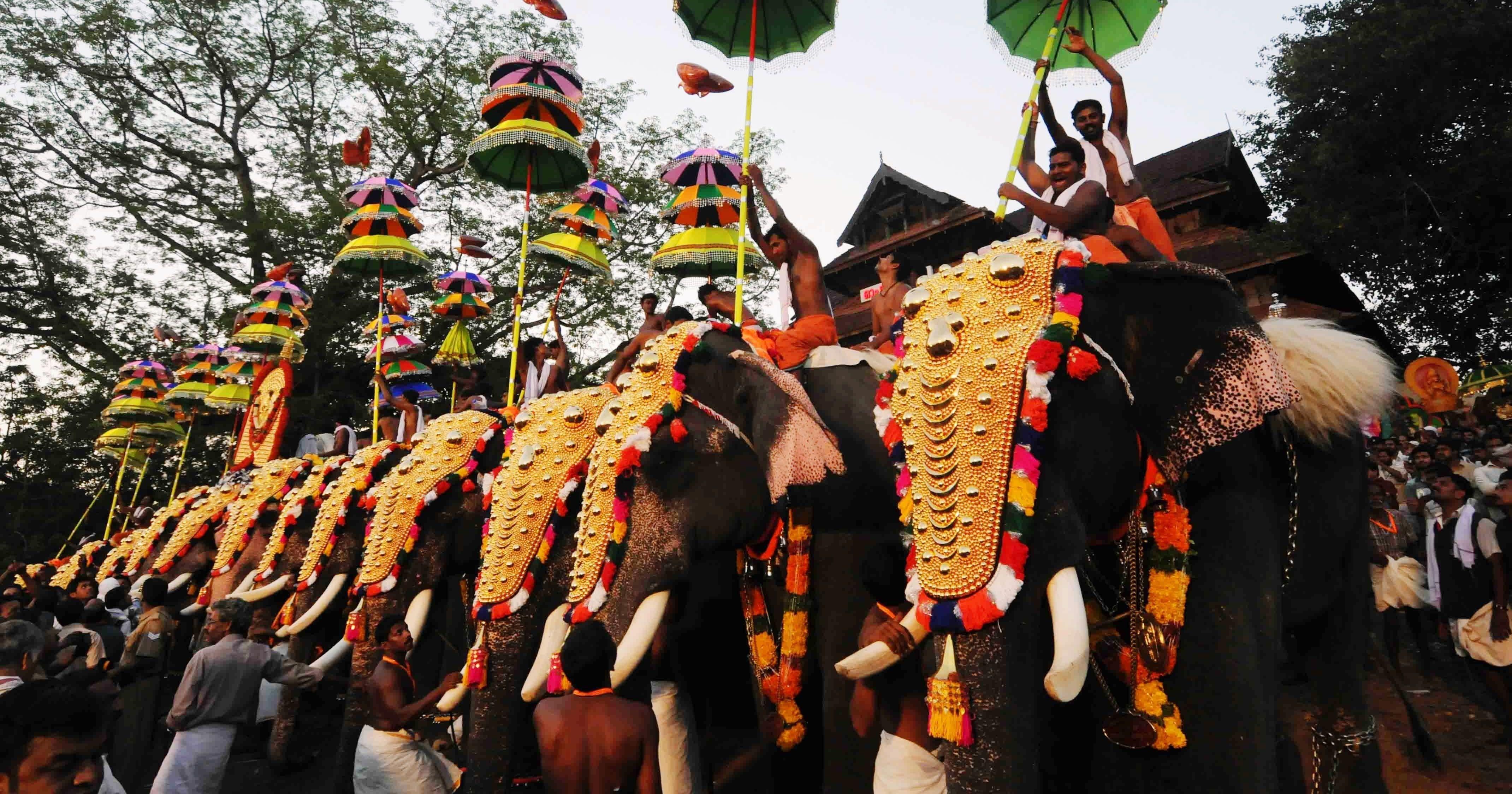 Festivals - Celebrate joyous moments and cultural traditions at vibrant festivals