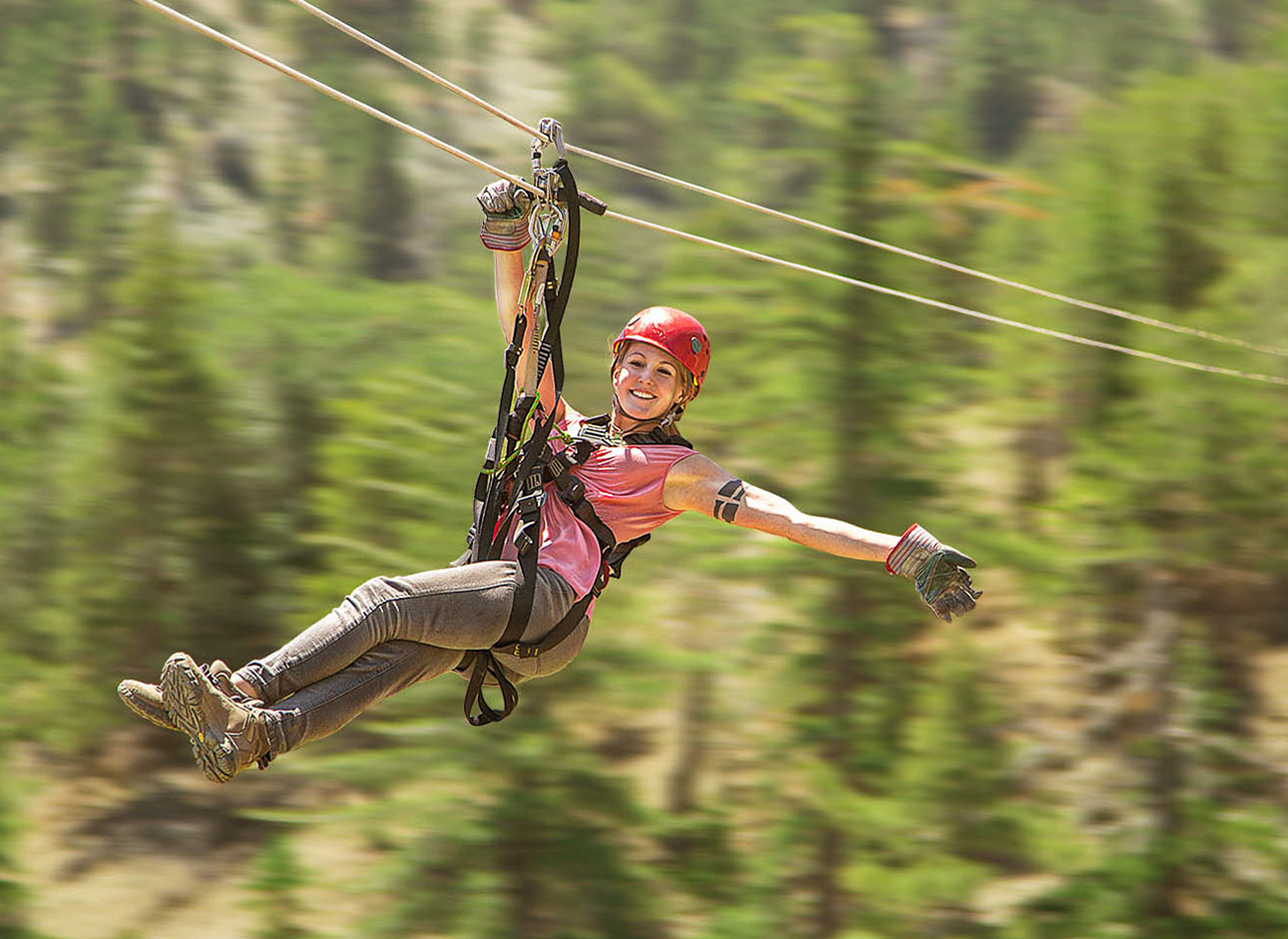 Zipline - Experience the thrill of soaring through the air