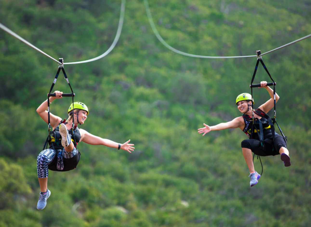 Zipline - Experience the thrill of soaring through the air