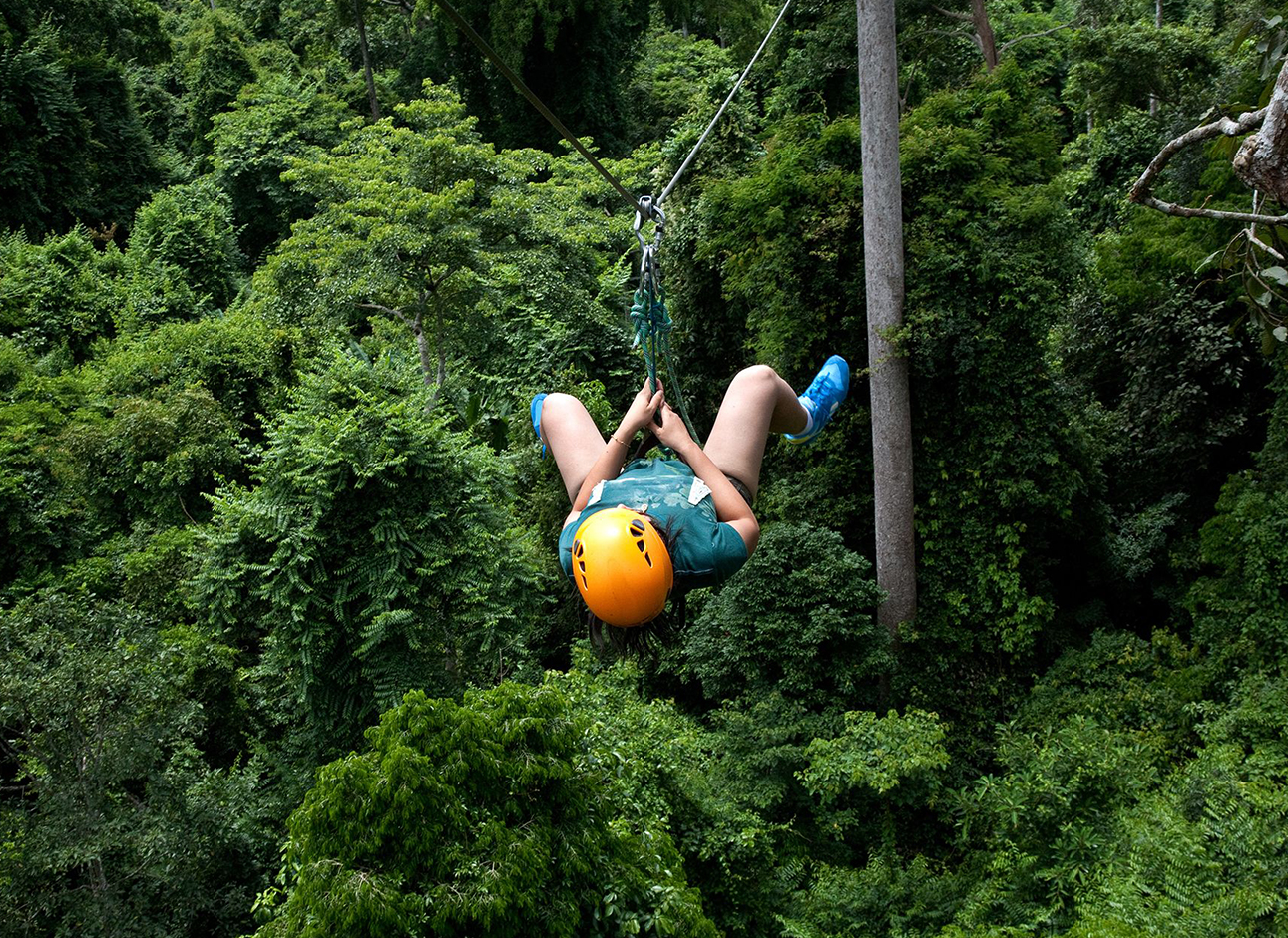 Zipline - Experience the thrill of soaring through the air