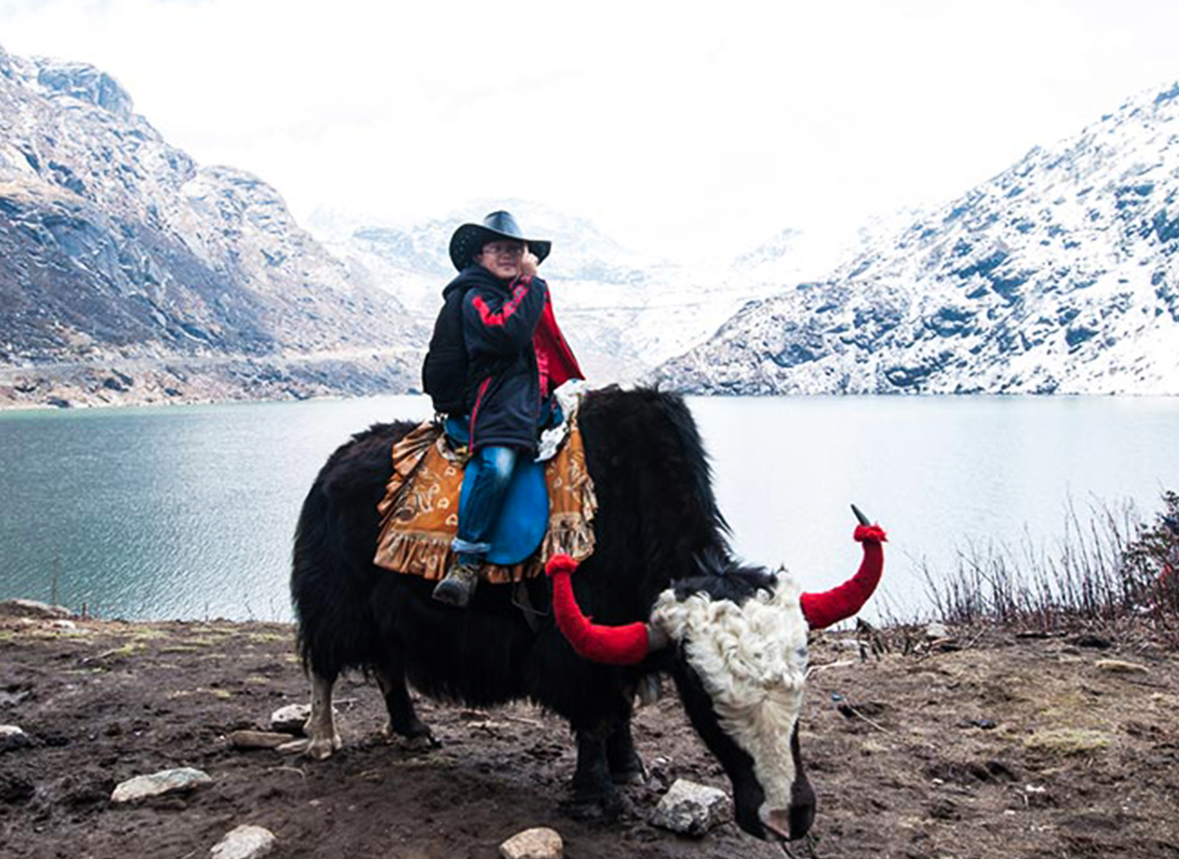 Yak Ride - Unique experience amidst breathtaking landscapes