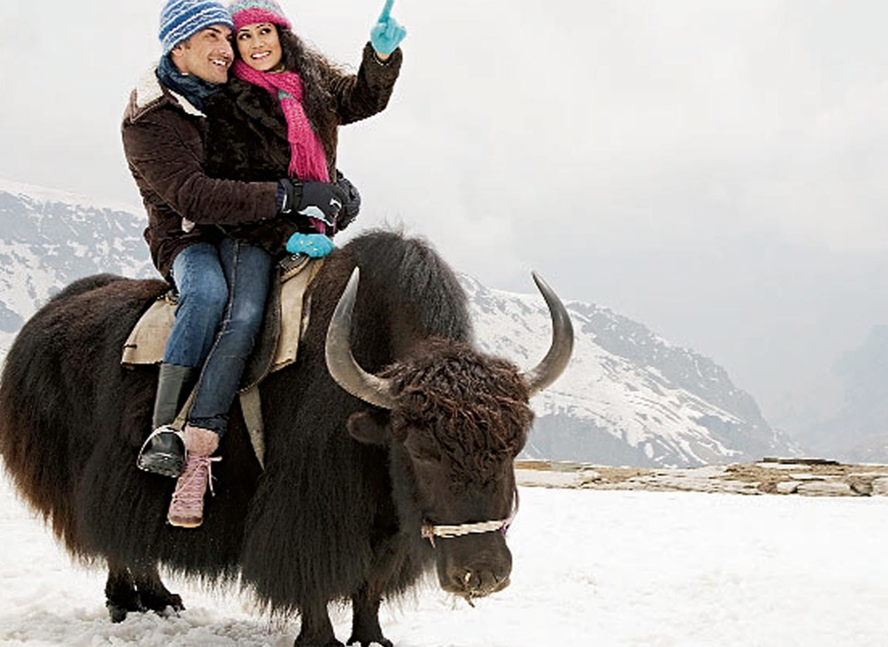 Yak Ride - Unique experience amidst breathtaking landscapes