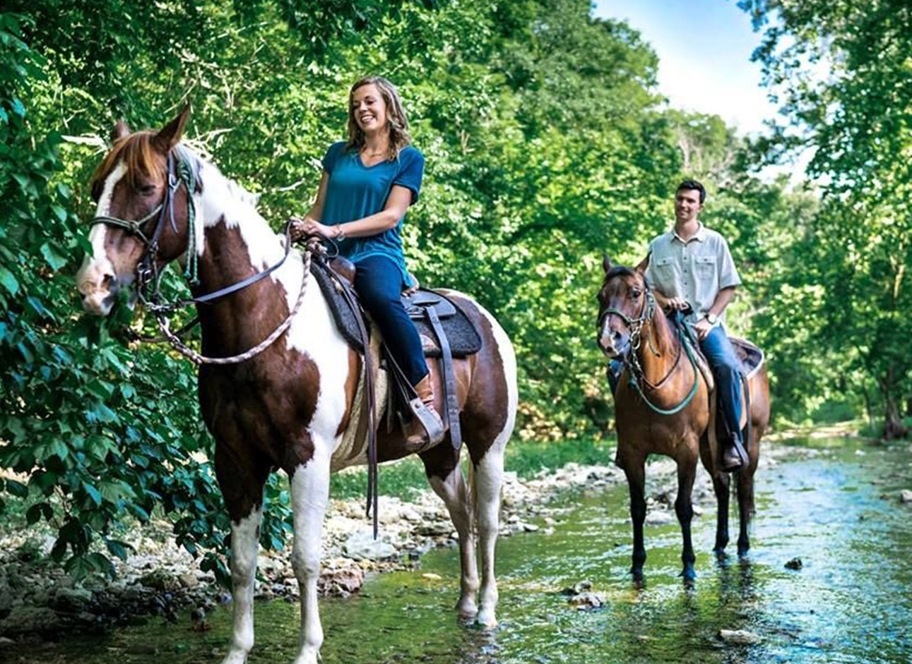 Horse Ride - Enjoy horseback riding adventures in scenic locations