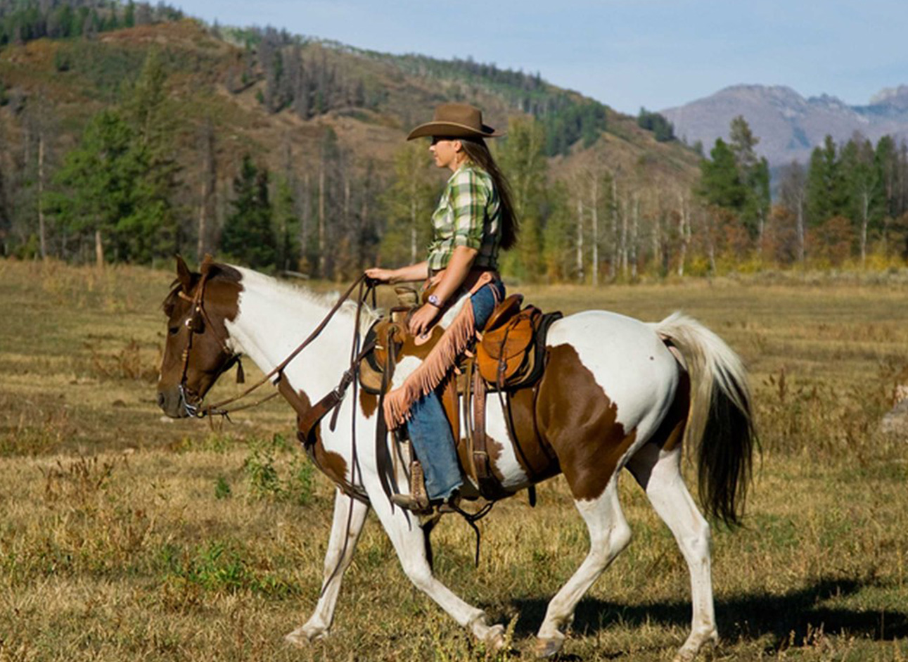 Horse Ride - Enjoy horseback riding adventures in scenic locations