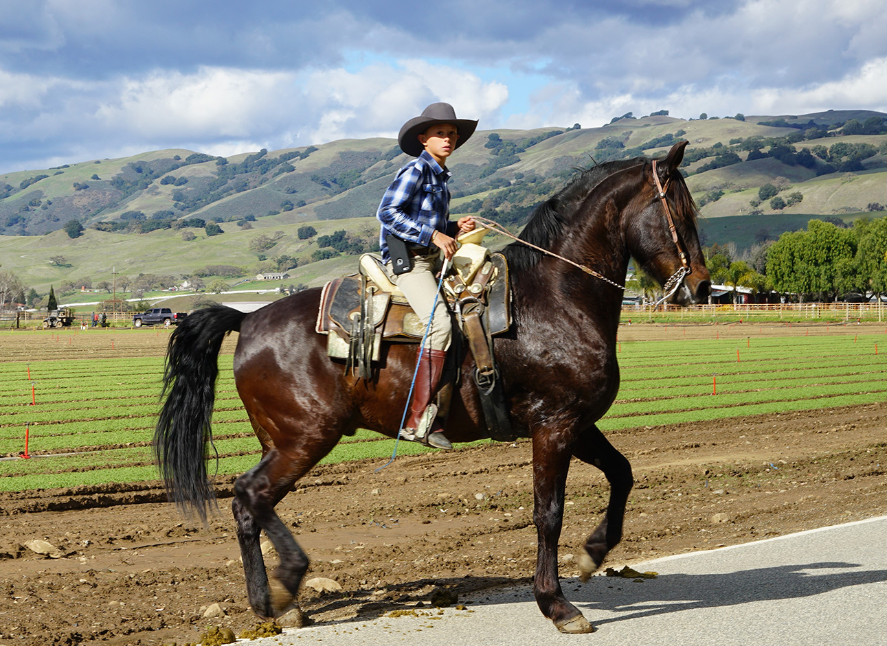 Horse Ride - Enjoy horseback riding adventures in scenic locations