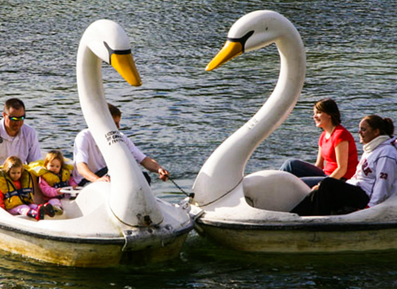 Pedal Boats - Enjoy leisurely rides on pedal boats in serene waters