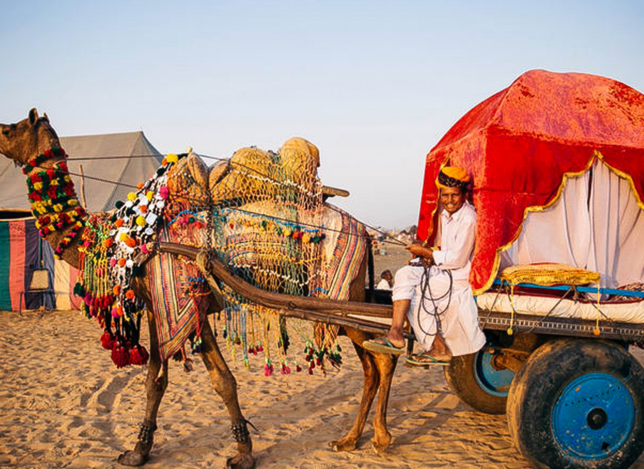 Camel Cart - Traditional transportation in scenic landscapes