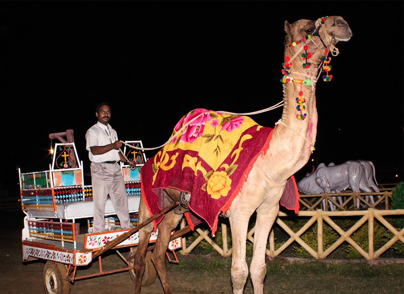 Camel Cart - Traditional transportation in scenic landscapes