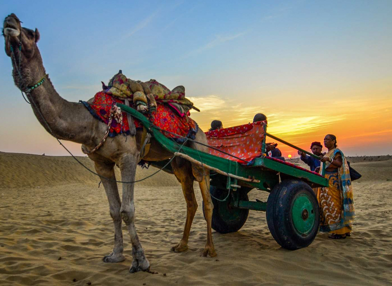 Camel Cart - Traditional transportation in scenic landscapes