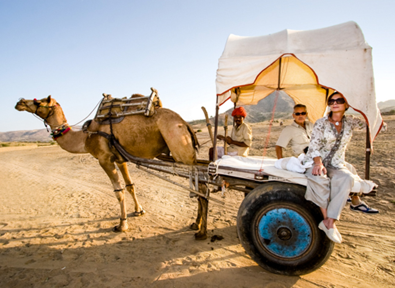 Camel Cart - Traditional transportation in scenic landscapes