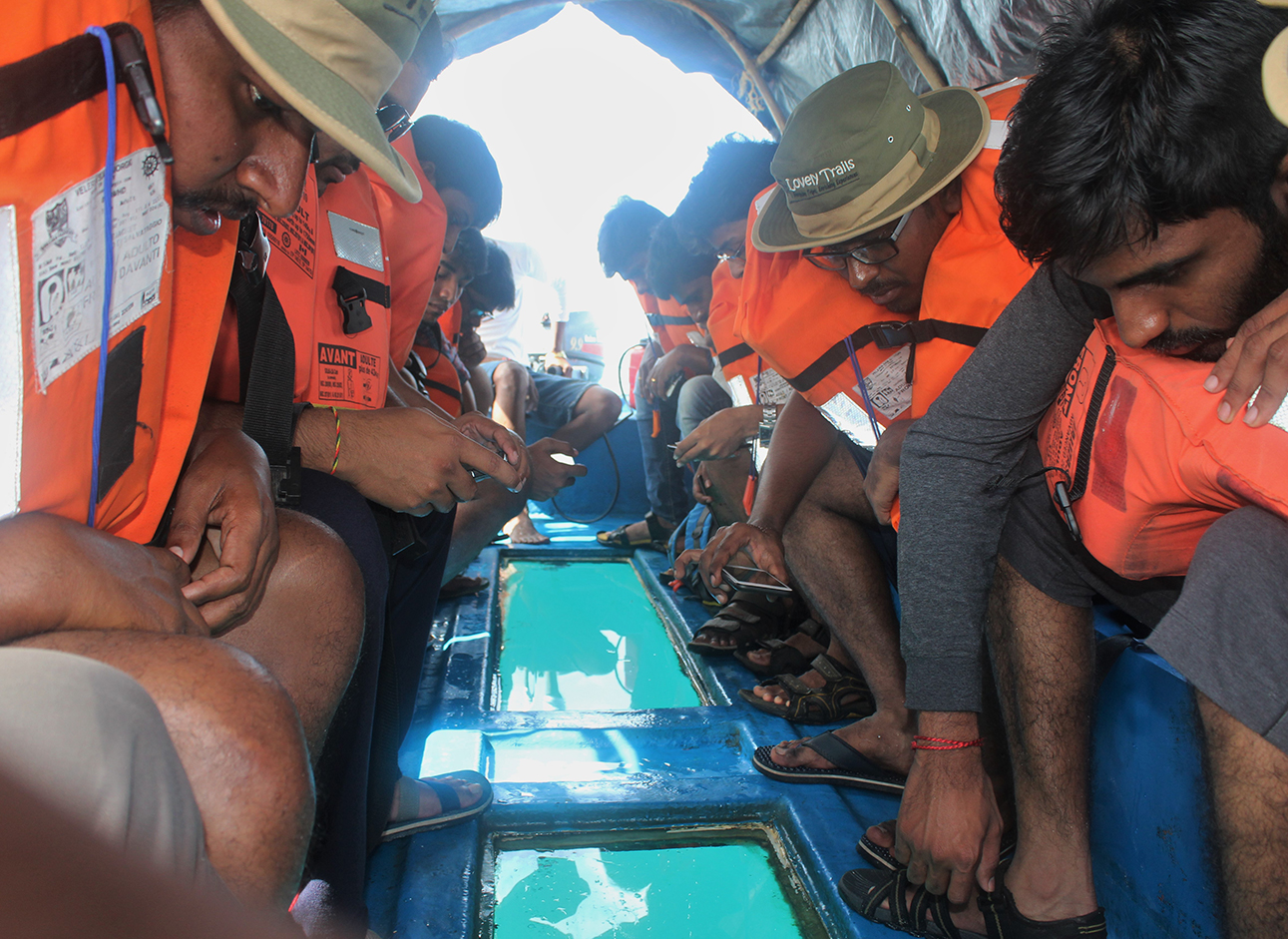 Glass Bottom Boats - Explore underwater wonders