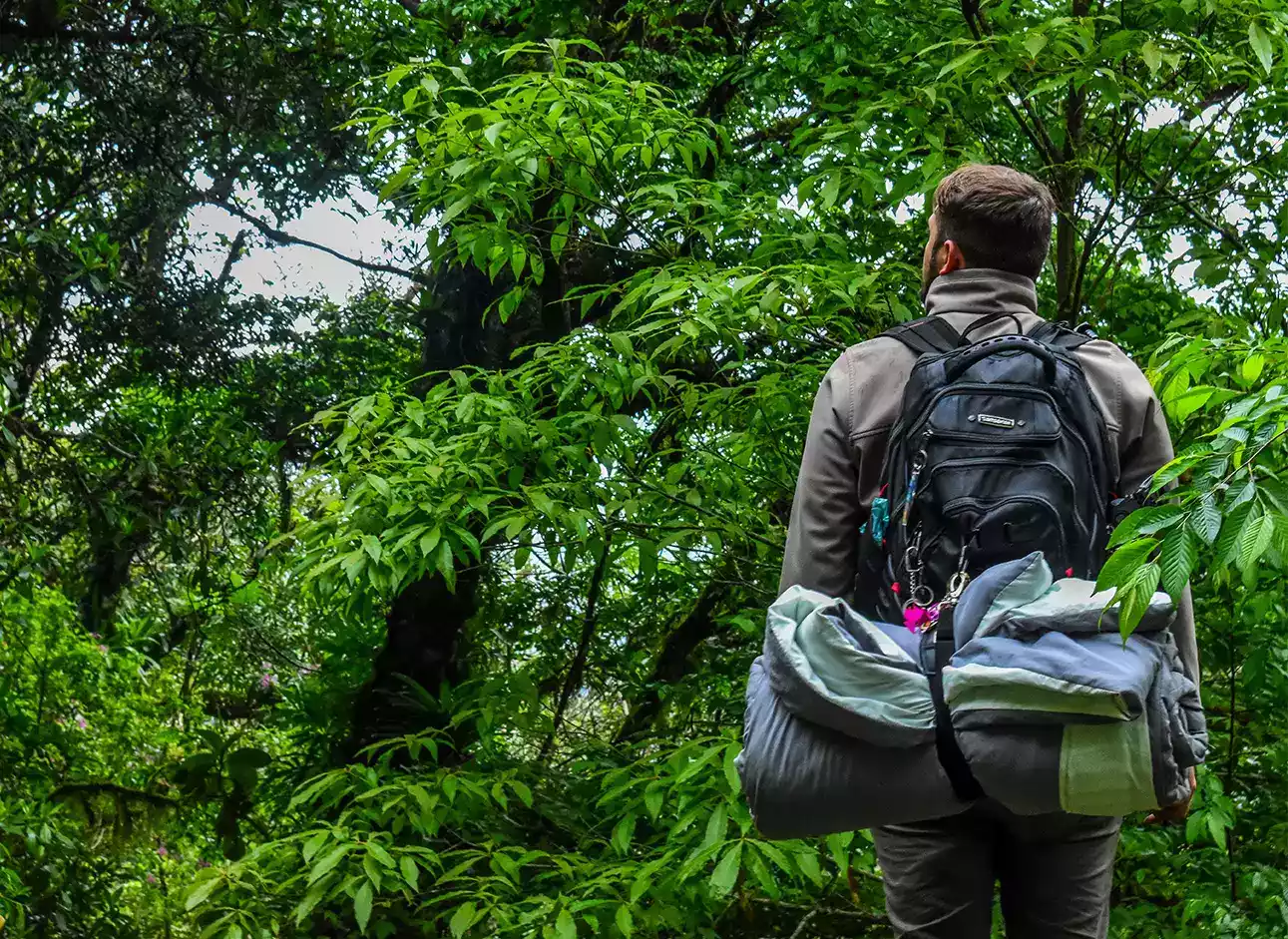 Camping - Outdoor adventures in nature