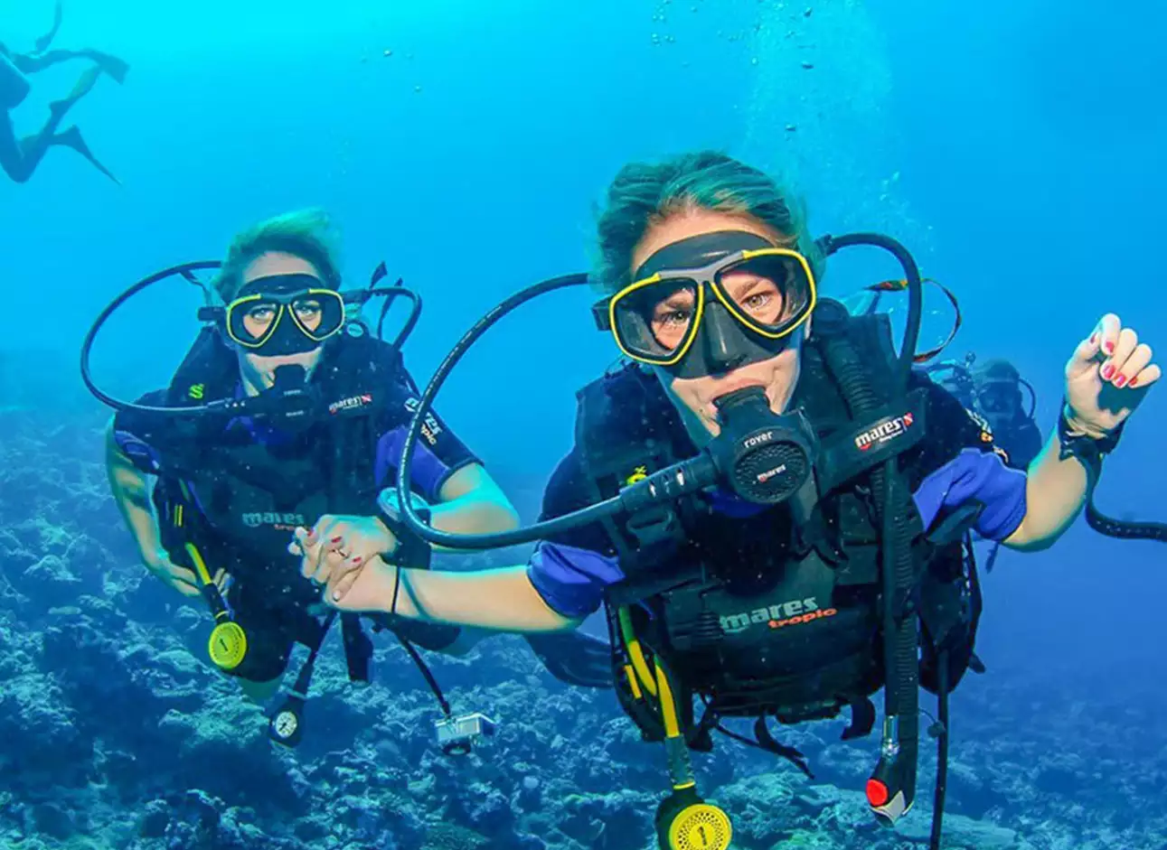 Scuba Diving - Explore the underwater world on thrilling dives