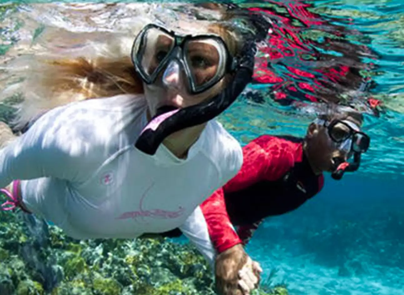 Snorkeling - Explore vibrant marine life underwater