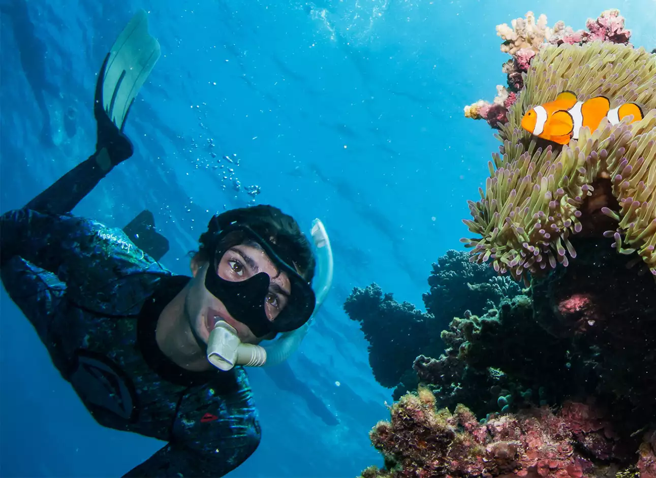 Snorkeling - Explore vibrant marine life underwater