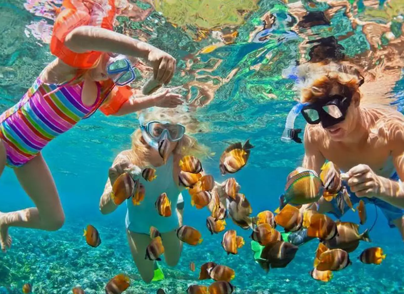 Snorkeling - Explore vibrant marine life underwater