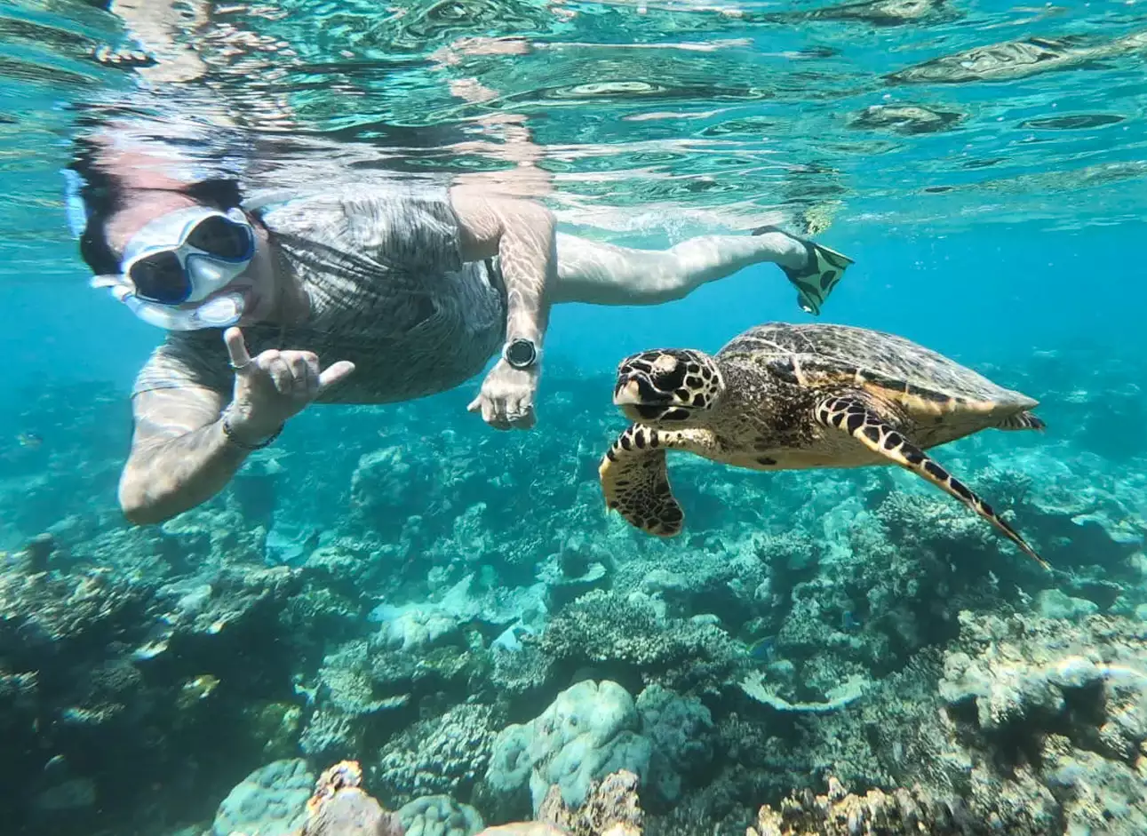 Snorkeling - Explore vibrant marine life underwater