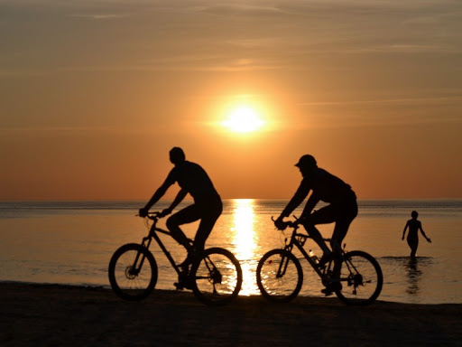 Bicycle Tours