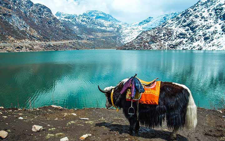 Gangtok, Sikkim - Explore the beauty of the landscapes