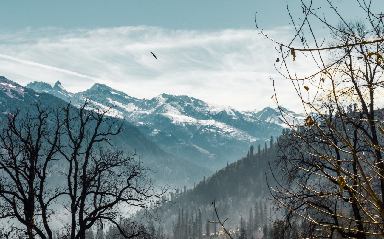 Top private tour packages