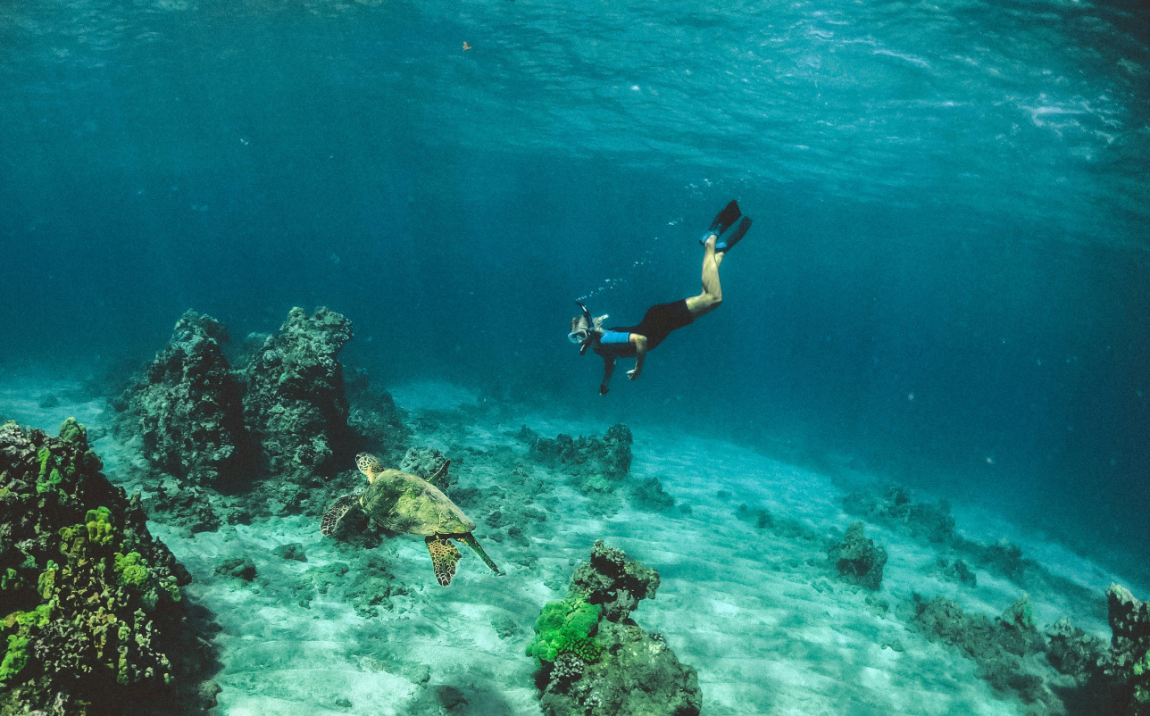 Top private tour packages