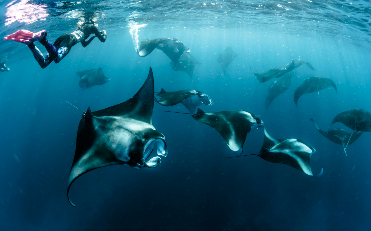 Top private tour packages