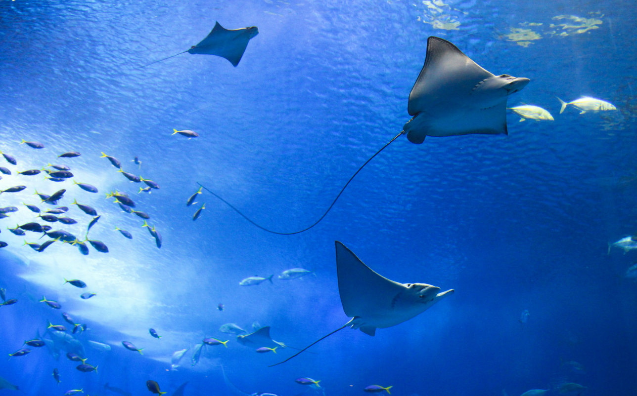 Top private tour packages