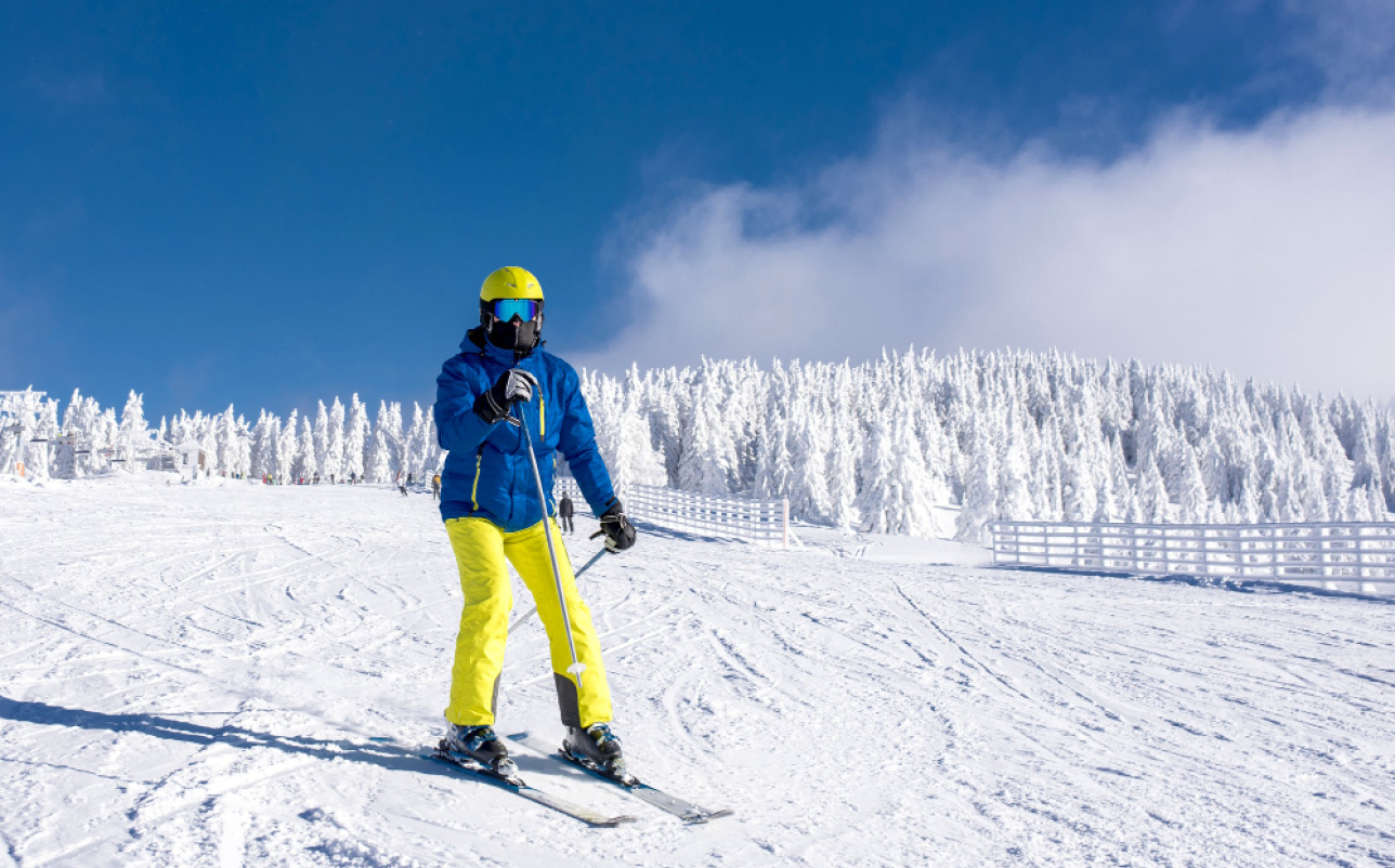 Top private tour packages
