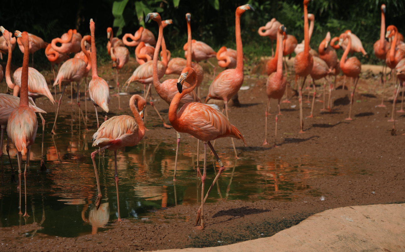 Top private tour packages