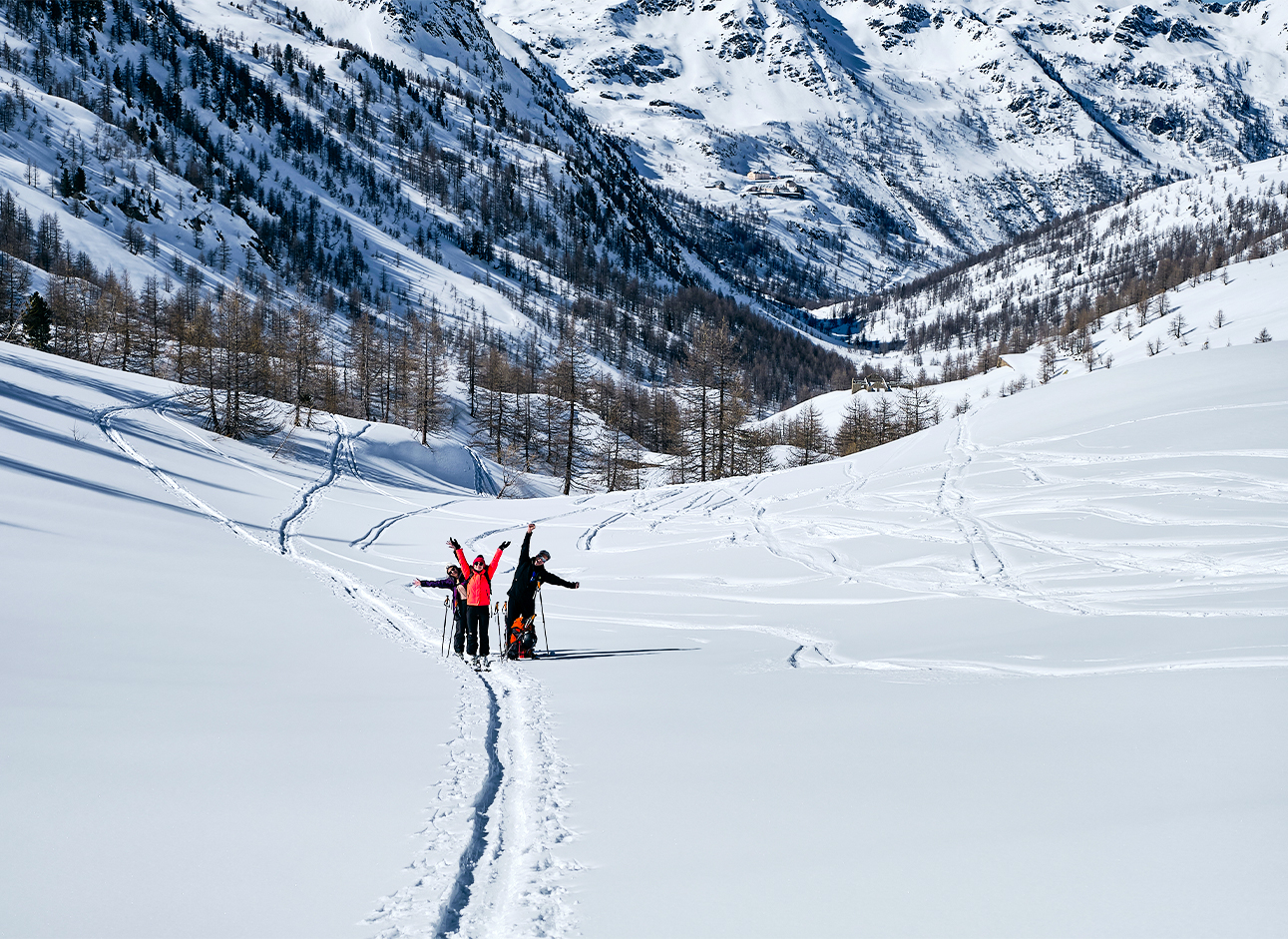 Top private tour packages