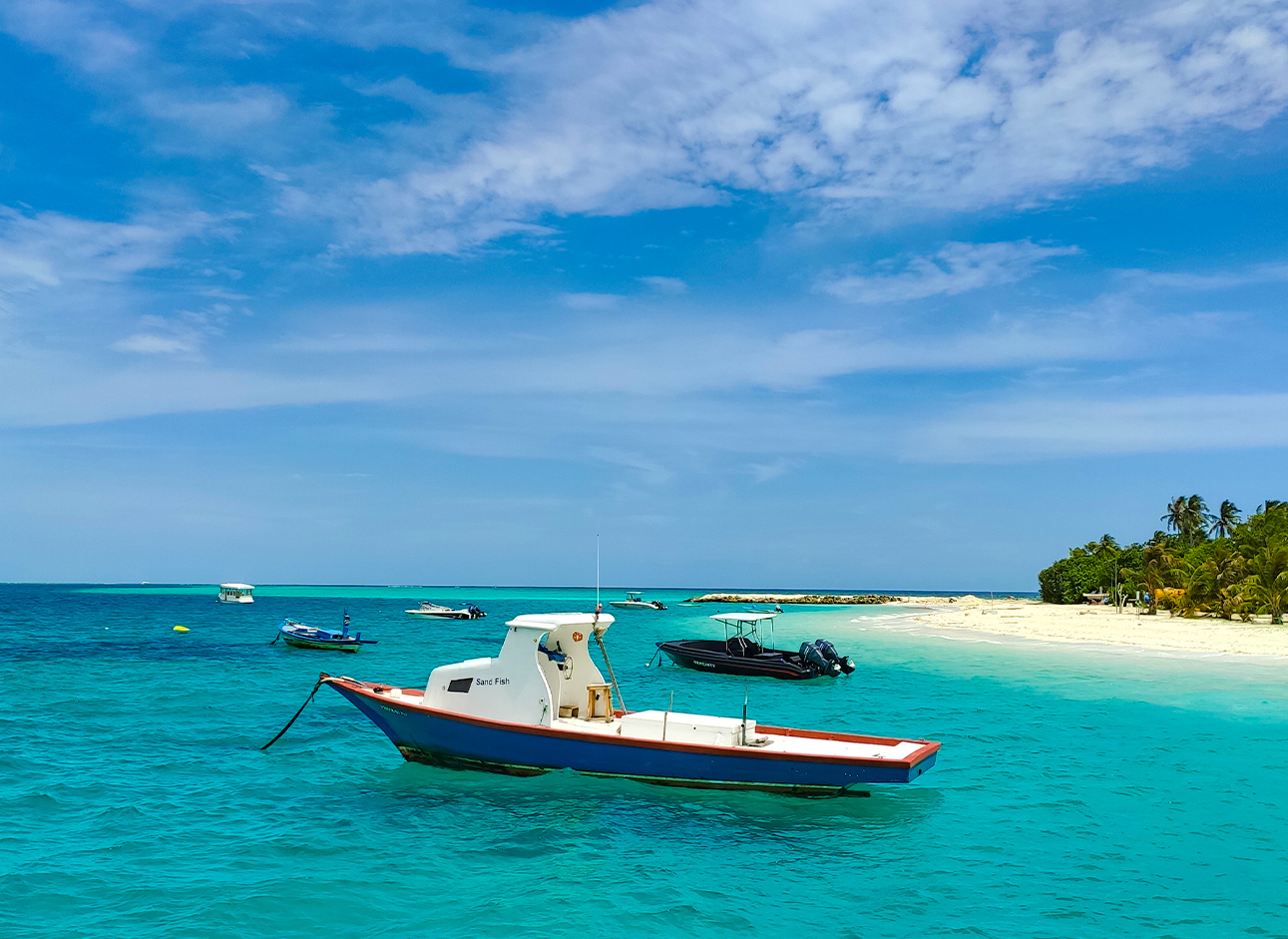 Top private tour packages