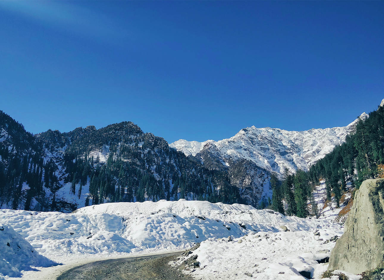 Top private tour packages