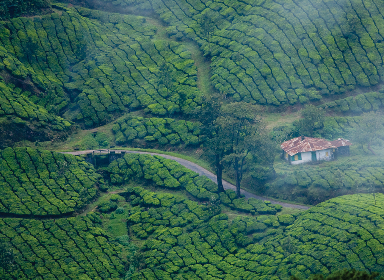 Best Destinations for Your Trip - Explore captivating destinations with our tours