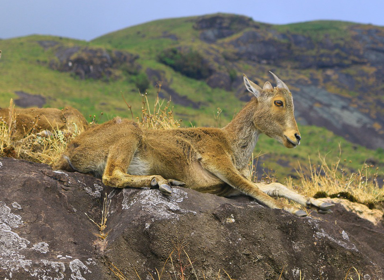 Best Destinations for Your Trip - Explore captivating destinations with our tours