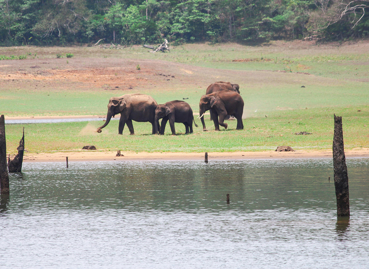 Best Destinations for Your Trip - Explore captivating destinations with our tours