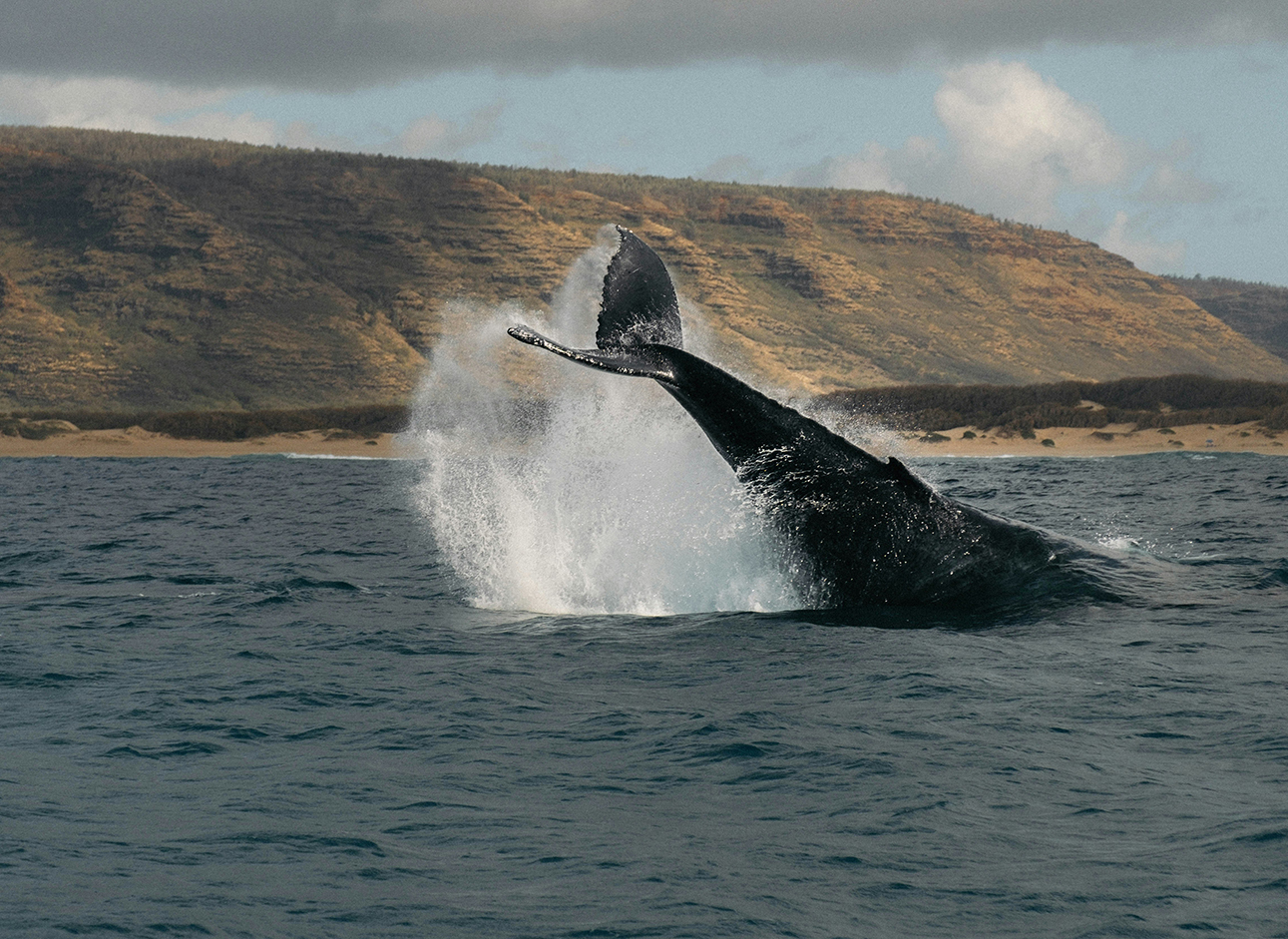 Top private tour packages