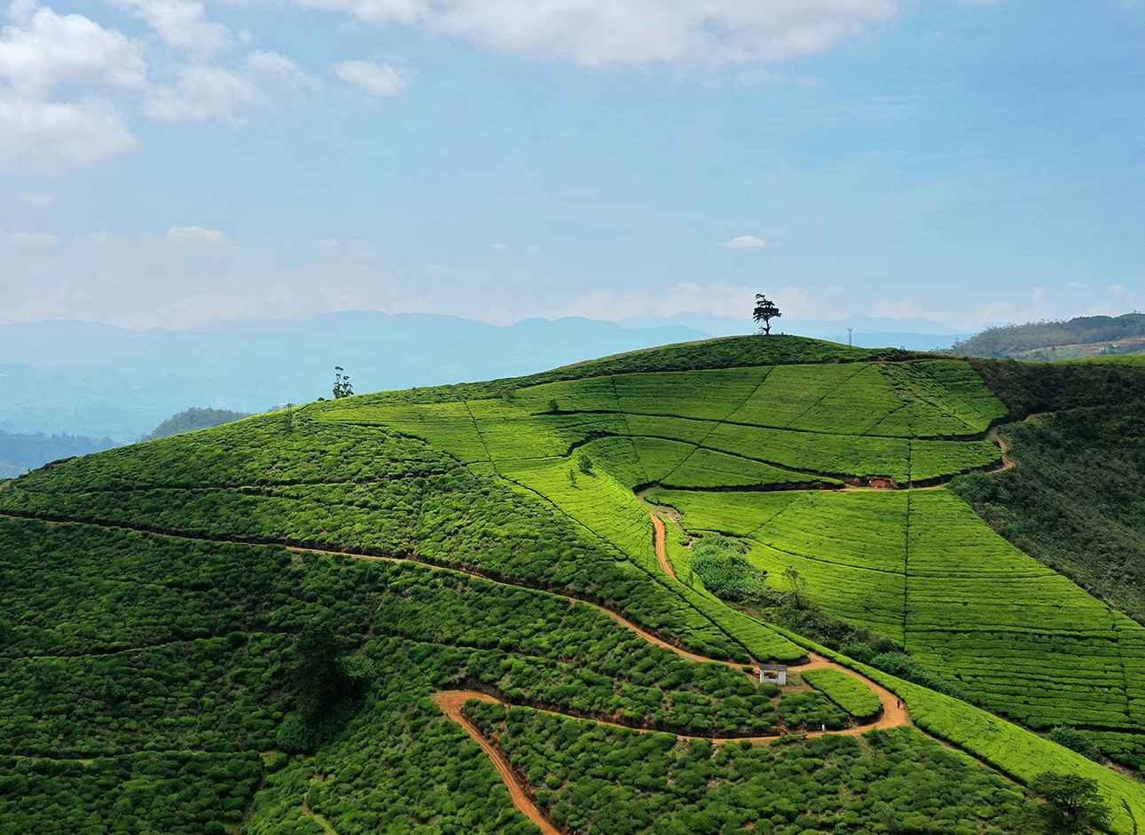 Top private tour packages