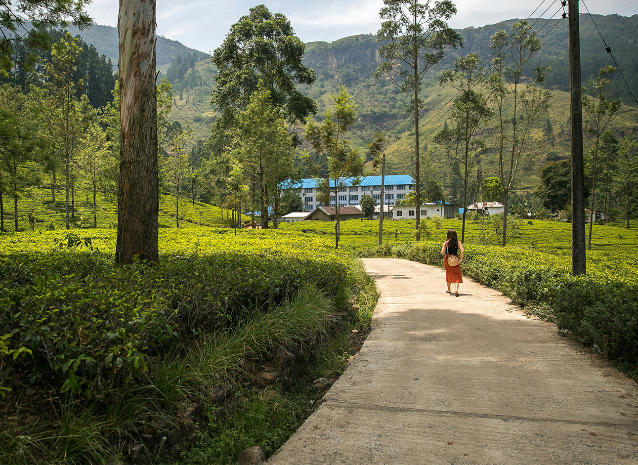 Top private tour packages