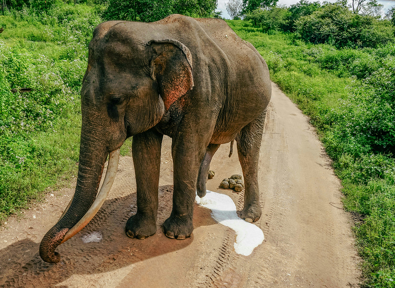 Top private tour packages