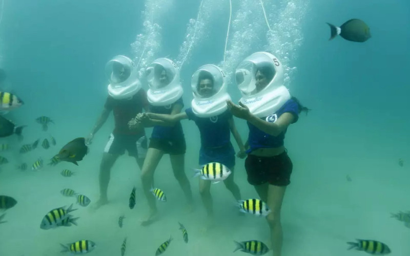 Top Private Tour packages