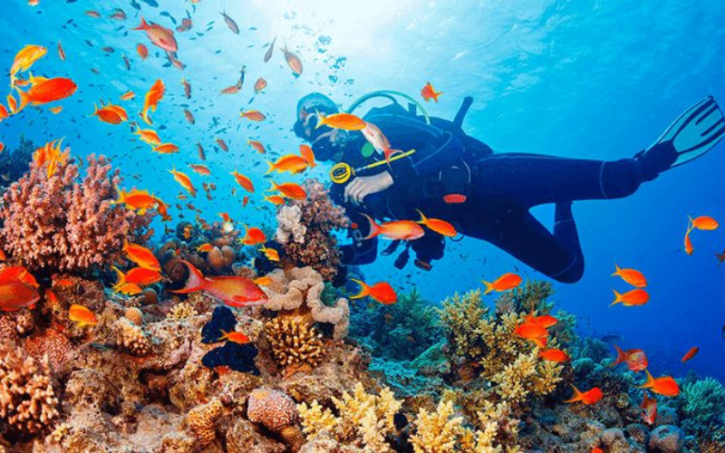Top Private Tour packages