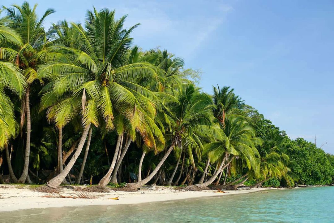 Andaman Special Holiday - 6 Days With Neil Island - Explore Andaman & Neil Island